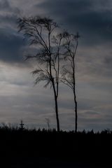 Vom Sturm verschont