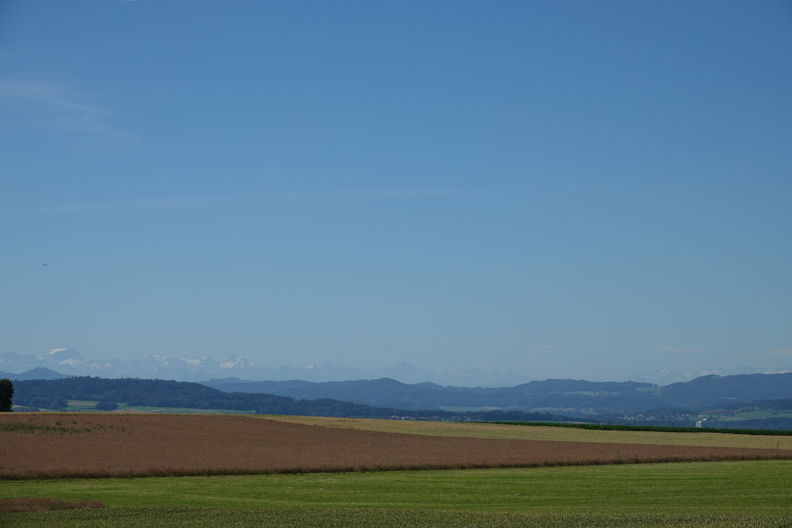 vom Thurgau in den Süden geschaut