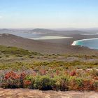 Vom Torndirrup NP Blick auf Albany