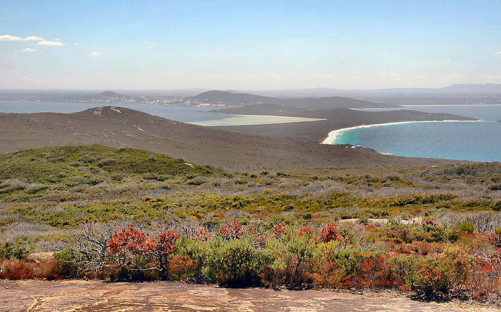 Vom Torndirrup NP Blick auf Albany