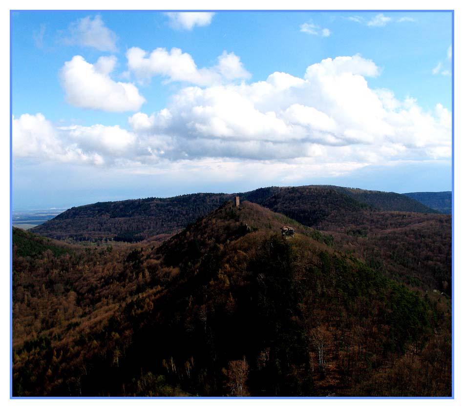 Vom Trifels: Annebos und Münz