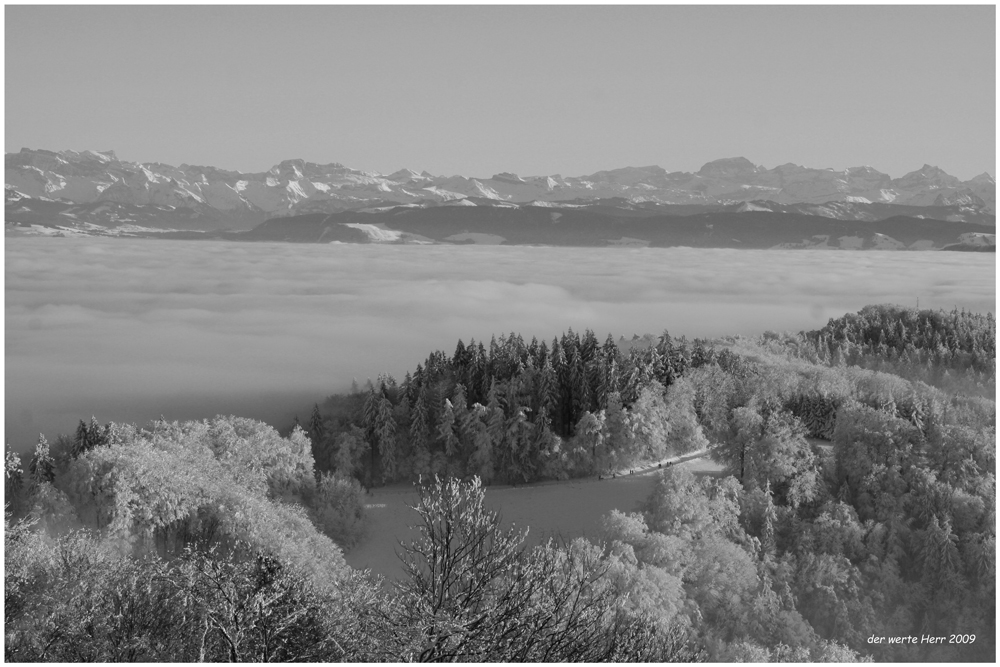 vom Üetliberg ins Tal geschaut