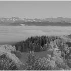 vom Üetliberg ins Tal geschaut