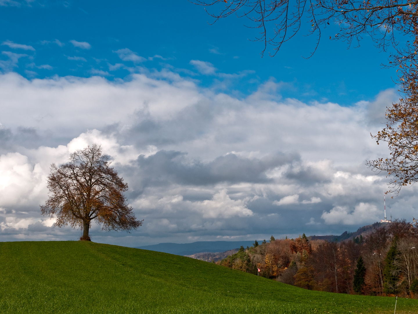 Vom Uetliberg zum Albis