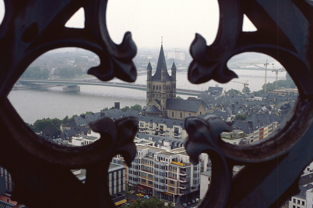 Vom Vierungsturm Richtung Kirche Groß St.Martin+Deutzer Brücke