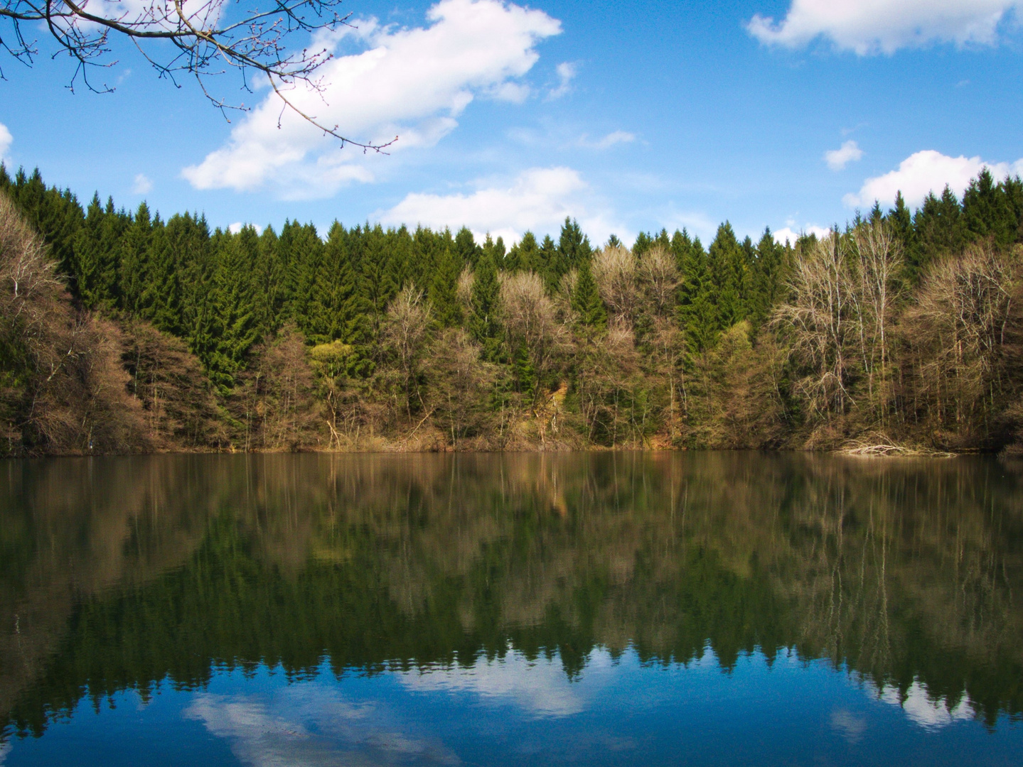 Vom Wald in den See