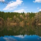 Vom Wald in den See