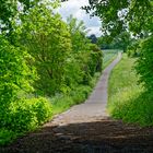 Vom Wald ins Feld