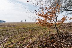 Vom Wald ins Feld