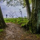 vom Wald ins Feld