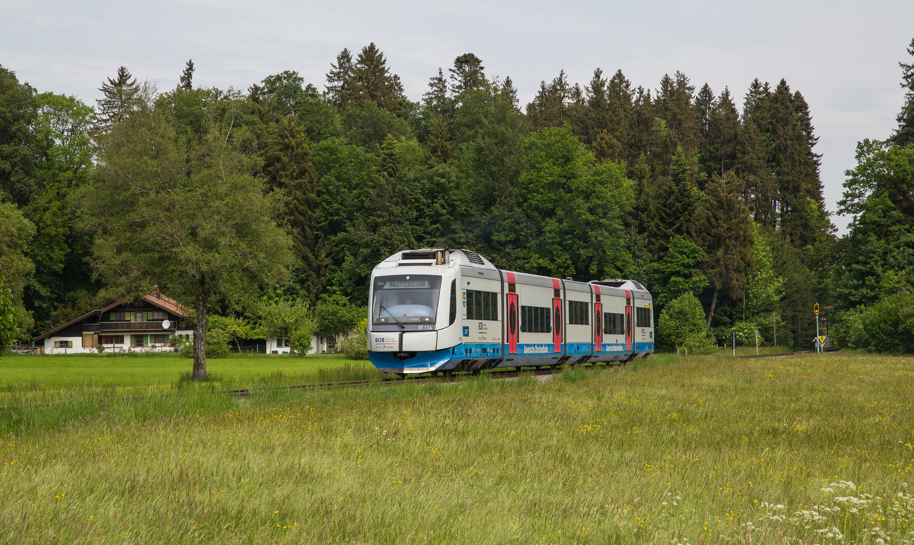 Vom Walde komm' ich her