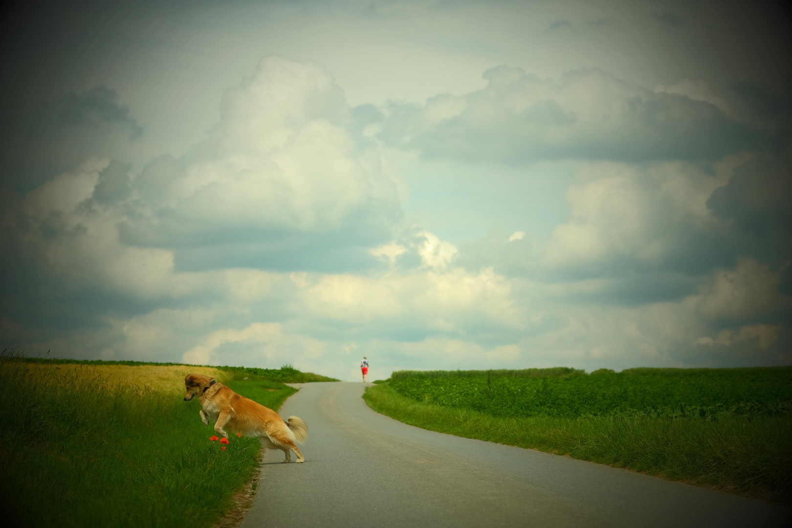 vom wandern und hüpfen