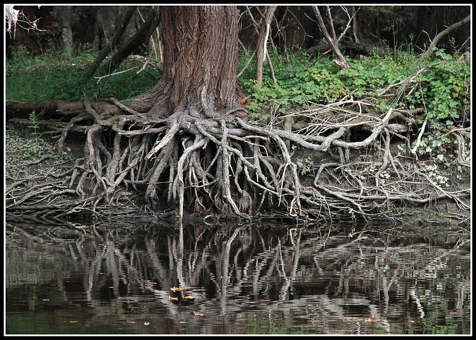 Vom Wasser ausgewaschen.