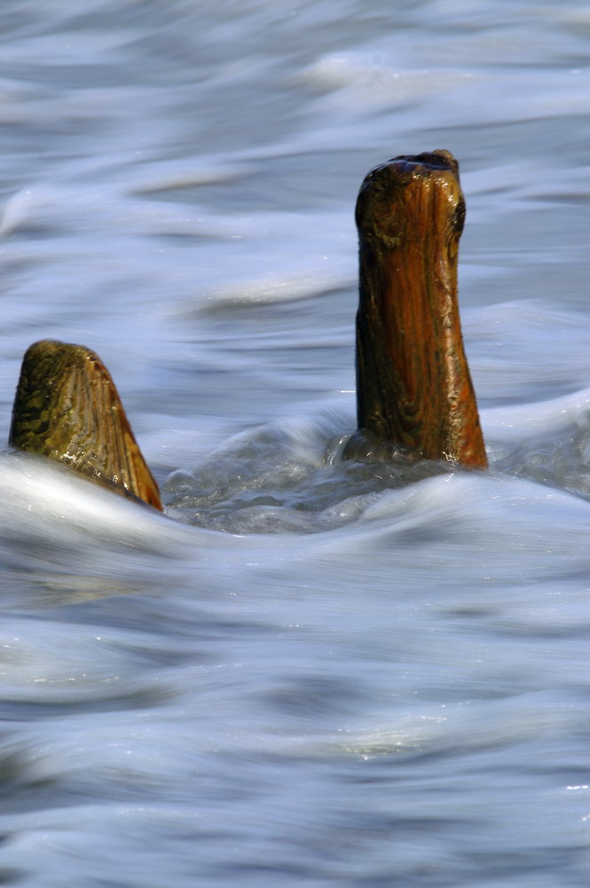 Vom Wasser geschliffene Hölzer eines ehemaligen Steges