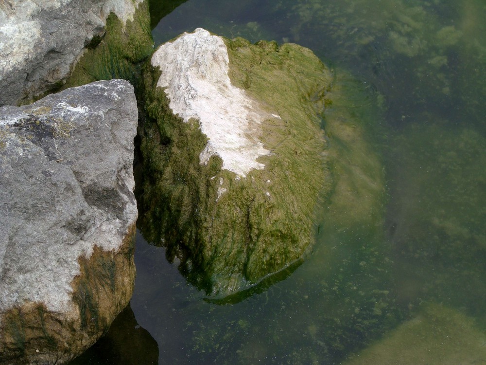 Vom Wasser gezeichnet