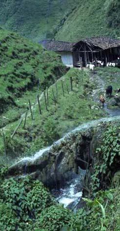 Vom Wasser "selbstgebastelte" Brücke