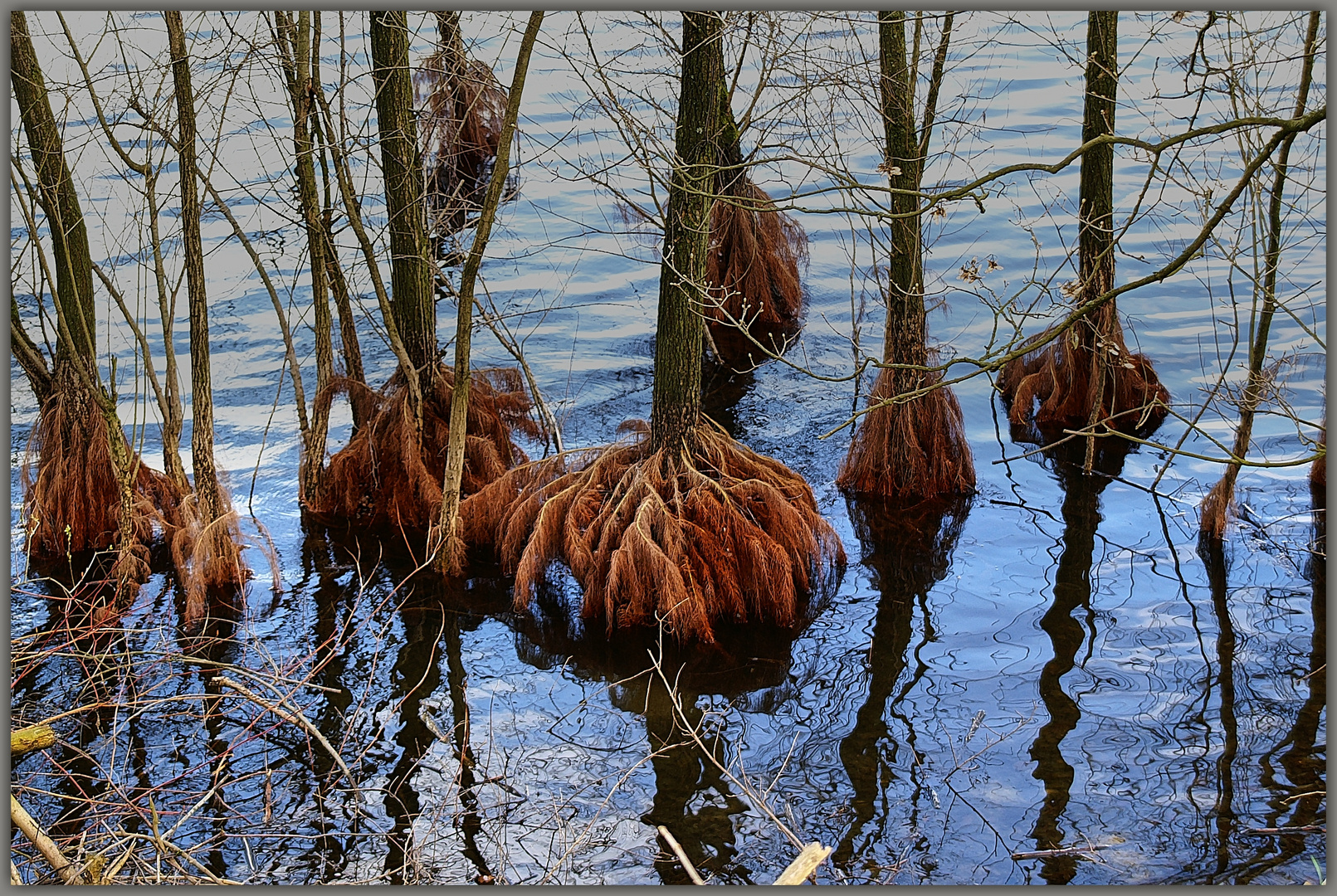 Vom Wasser umspielt