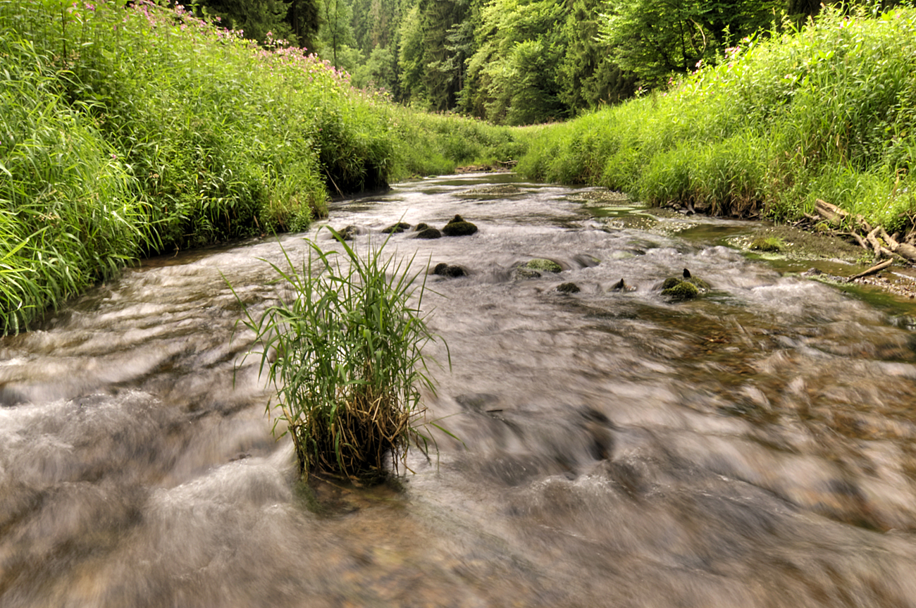 *** Vom Wasser umspült ***