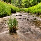 *** Vom Wasser umspült ***