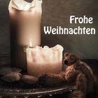 vom Weihnachtsbär