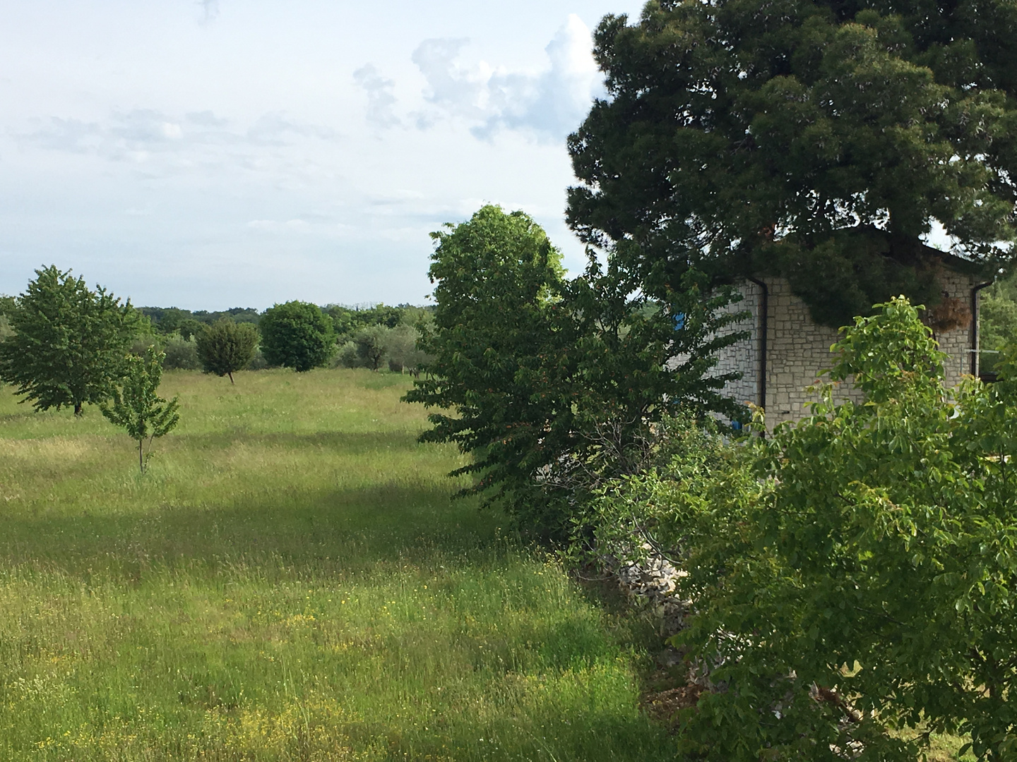 vom weiten Blick über Garten und Land