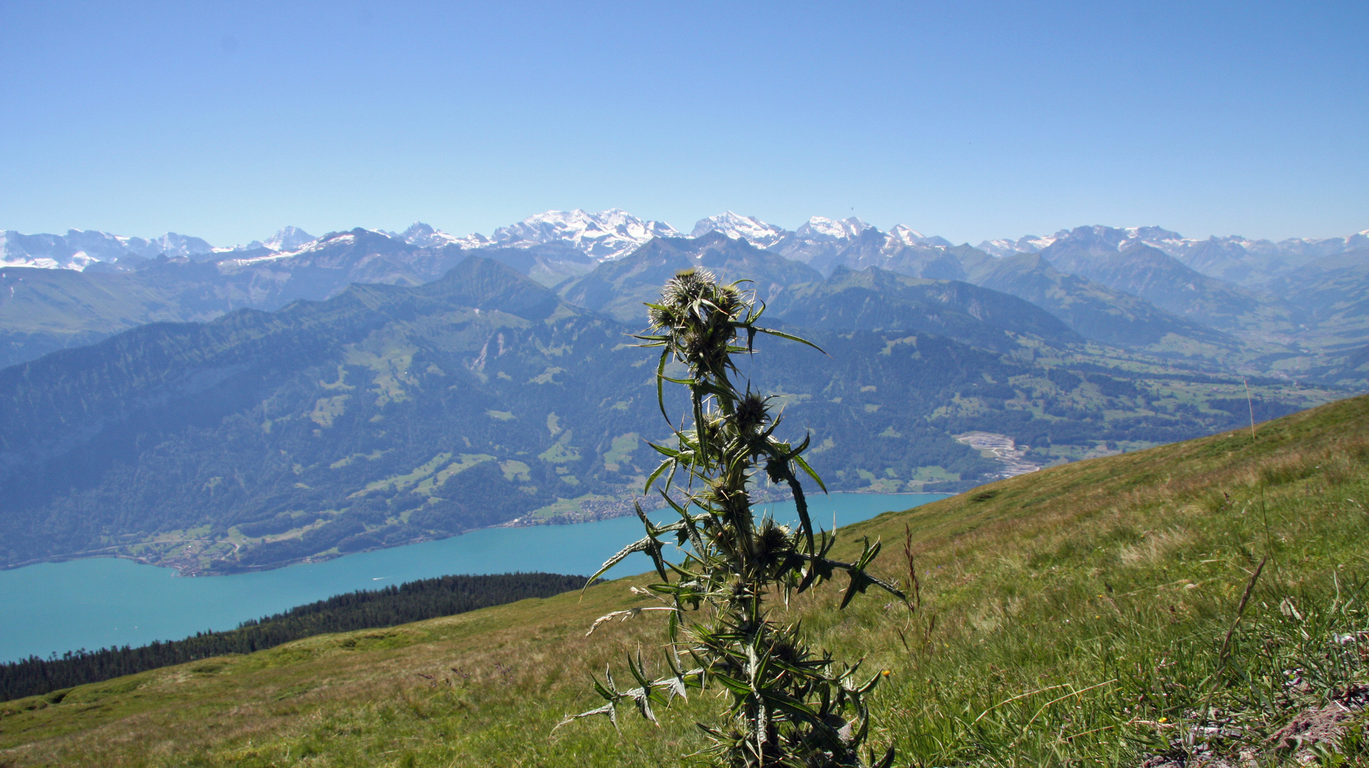 vom Wilerhorn 2