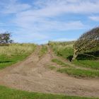 Vom Wind gebeugt, Feldweg