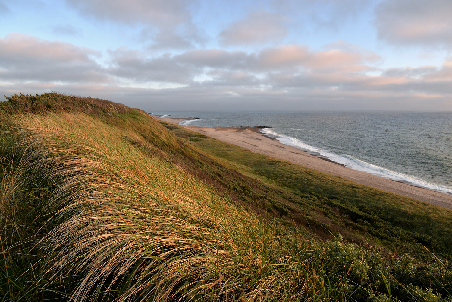 Vom Wind geformt