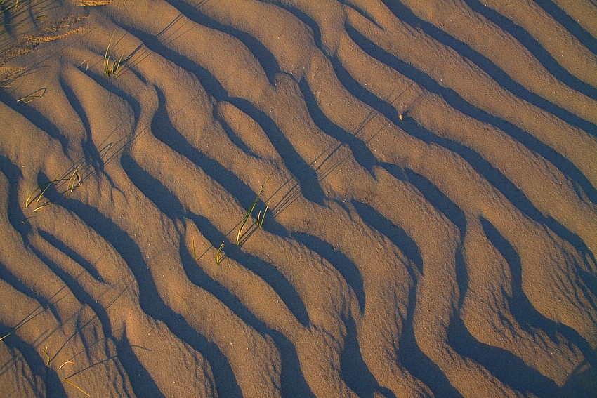 Vom Wind gestaltet