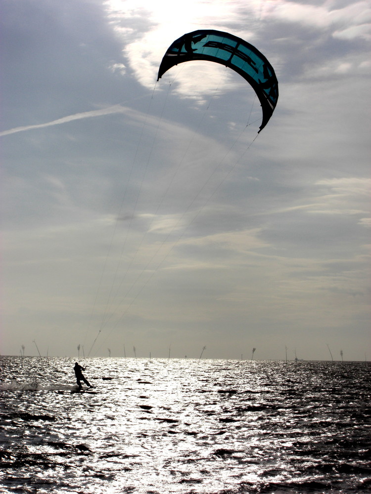 vom Wind getragen (2)