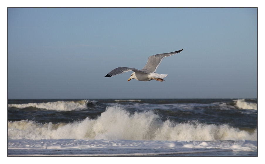 Vom Wind getragen