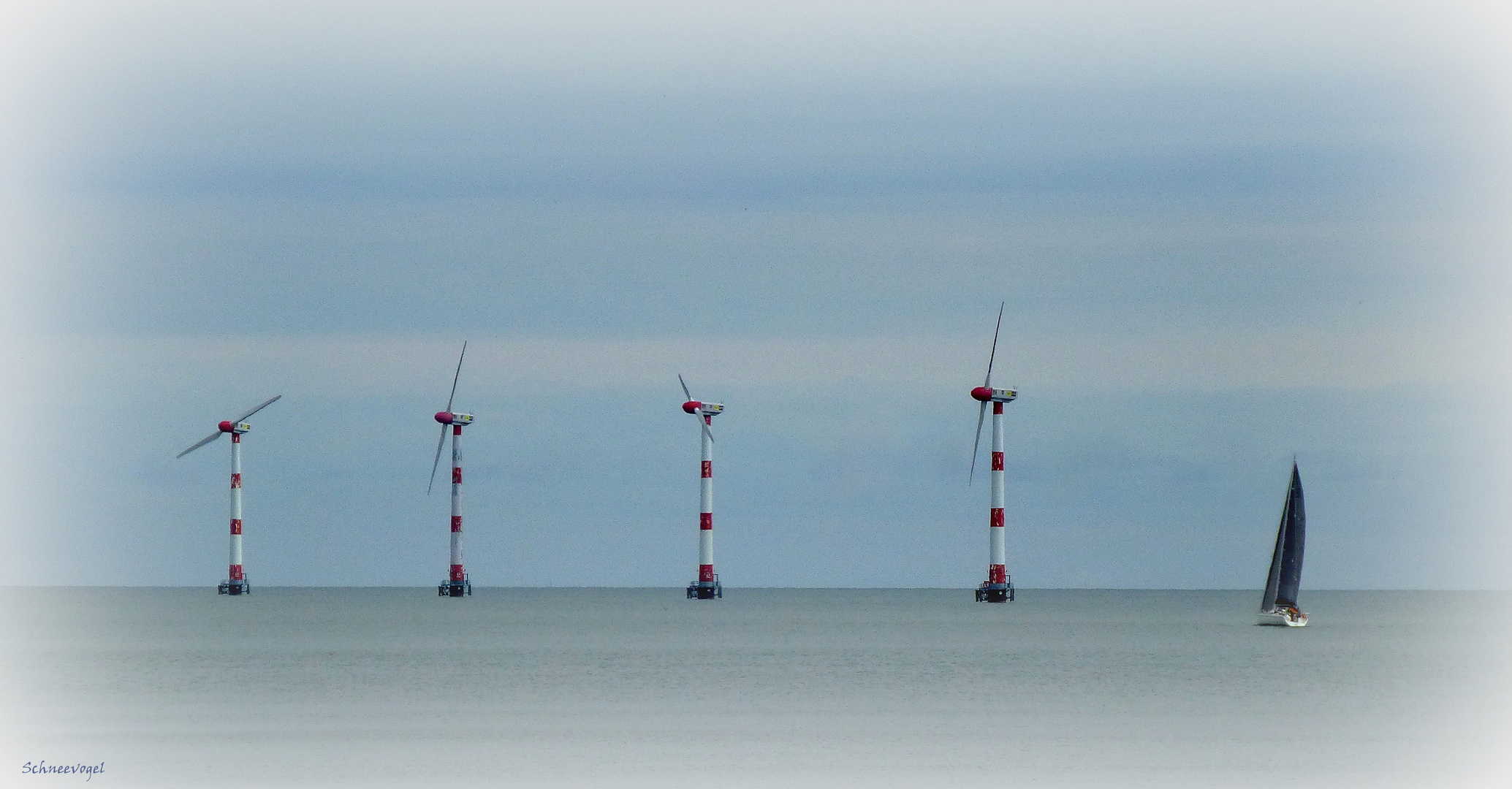 vom Wind getrieben ...