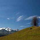 vom Wind und Wetter gezeichnet