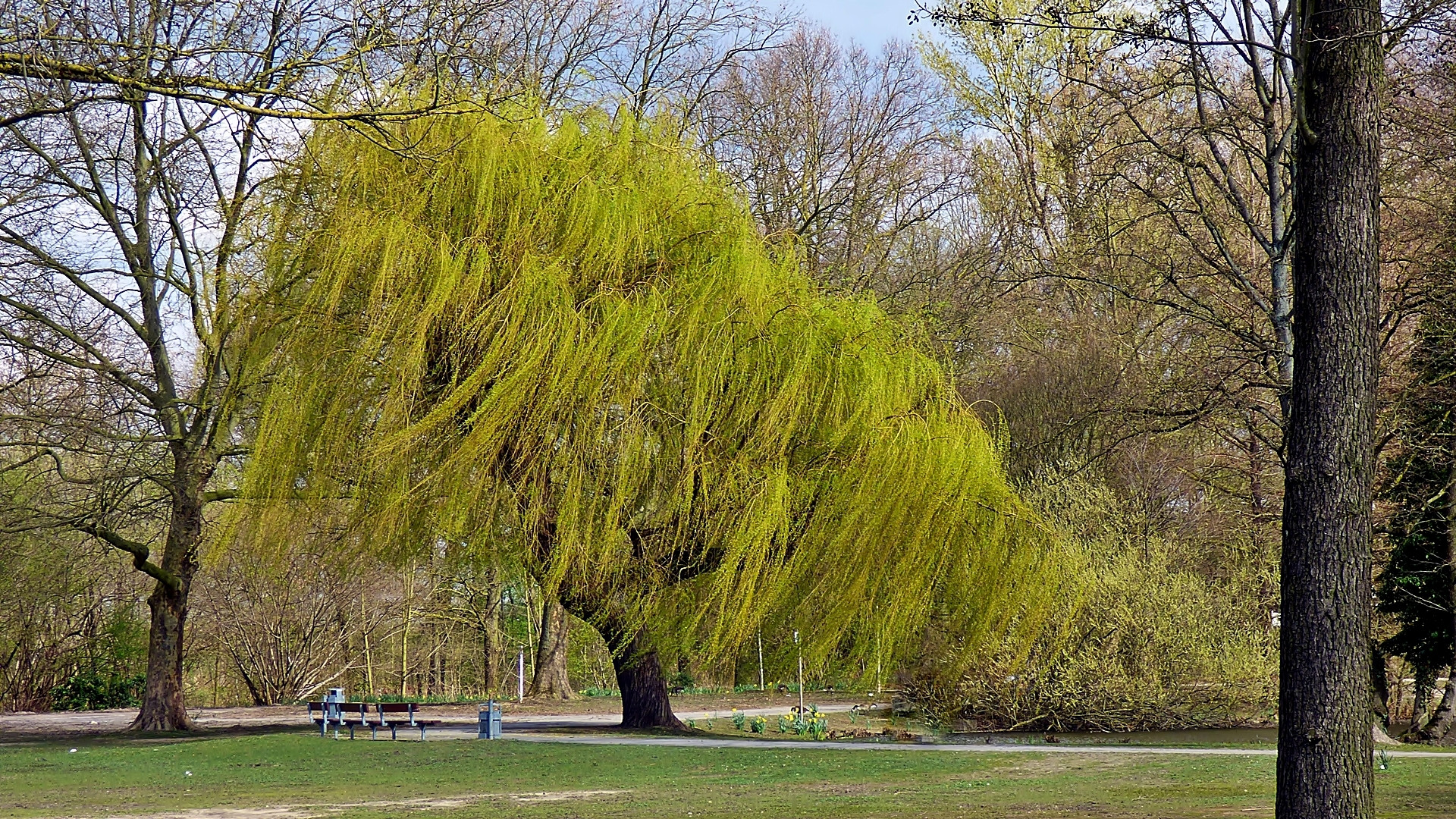 Vom Wind verweht.