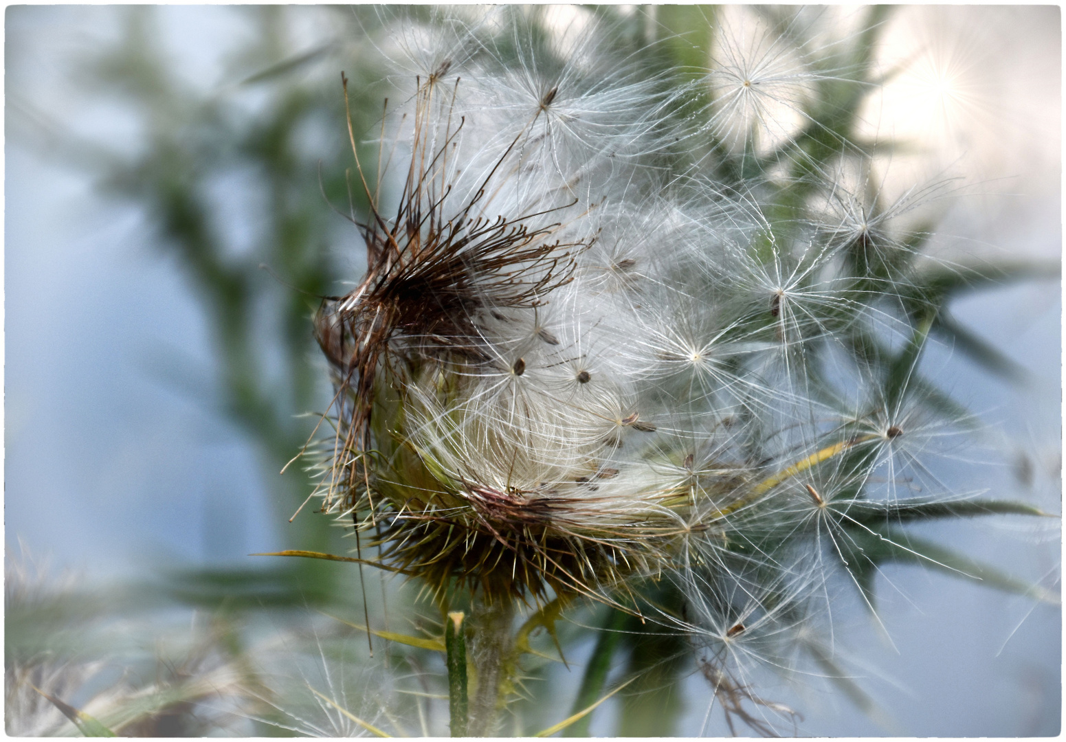 vom Wind verweht.............