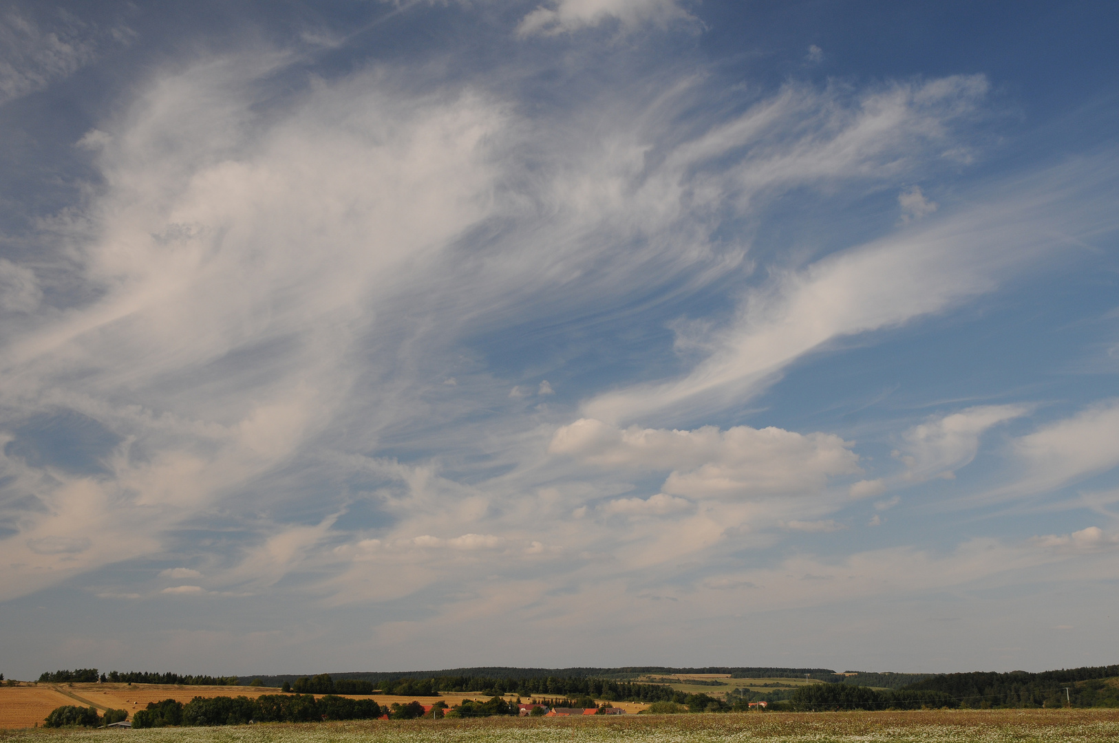 vom wind verweht