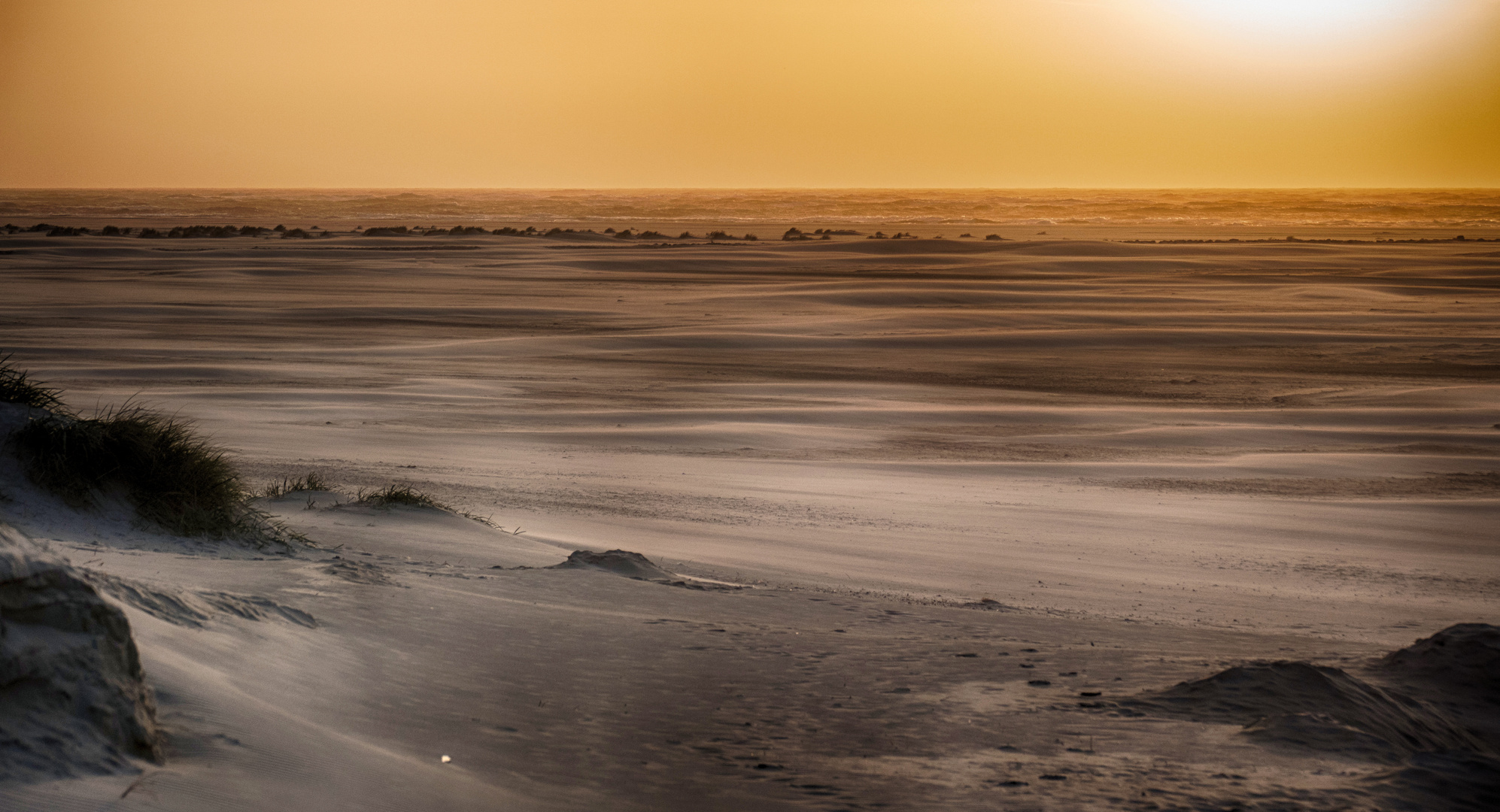 Vom Winde verweht Foto & Bild landschaft, meer & strand, watt Bilder