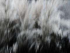 ... vom winde verweht