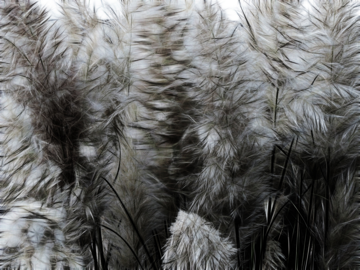 ... vom winde verweht