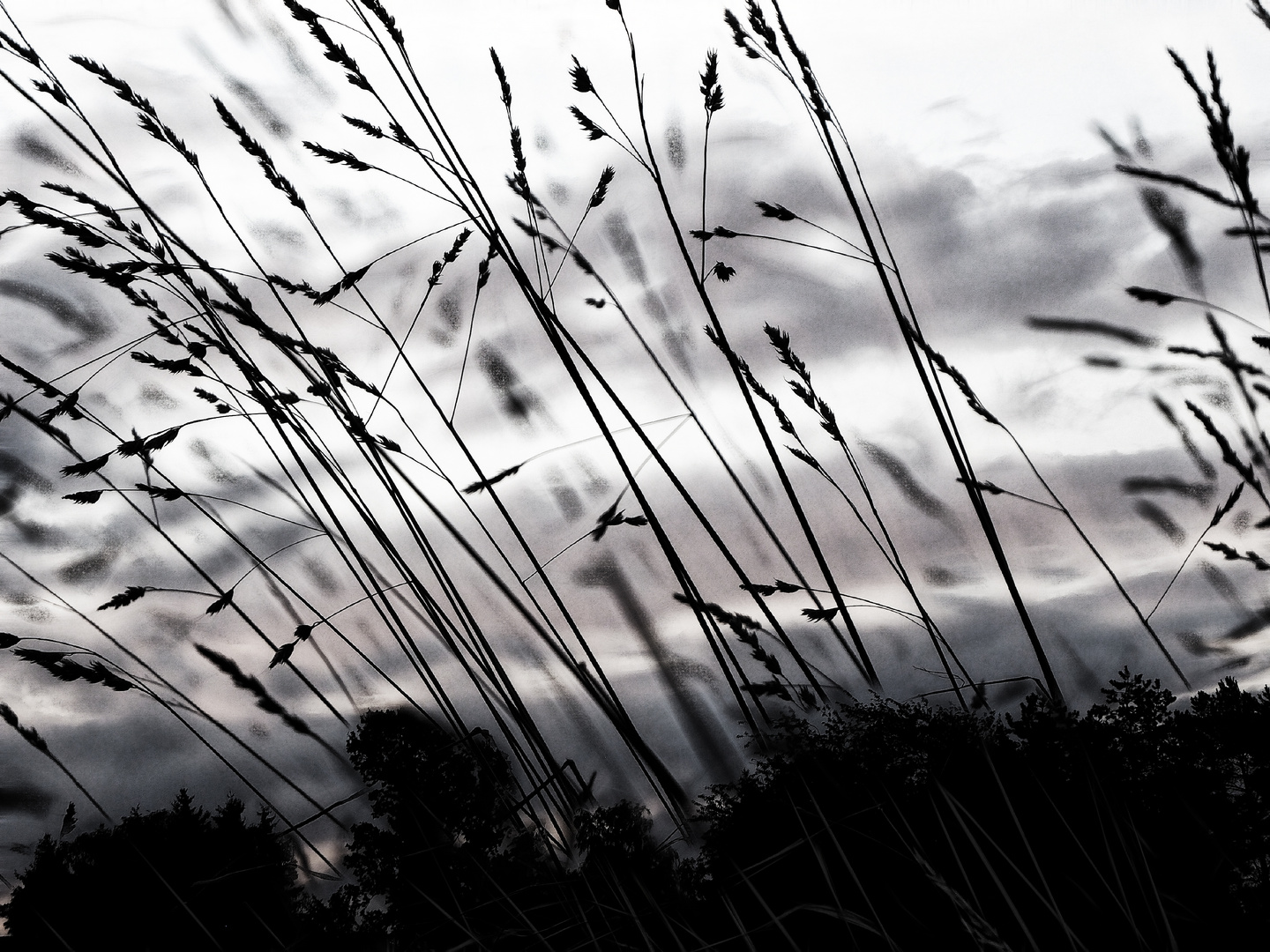 ... vom winde verweht