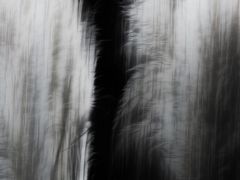 ... vom winde verweht