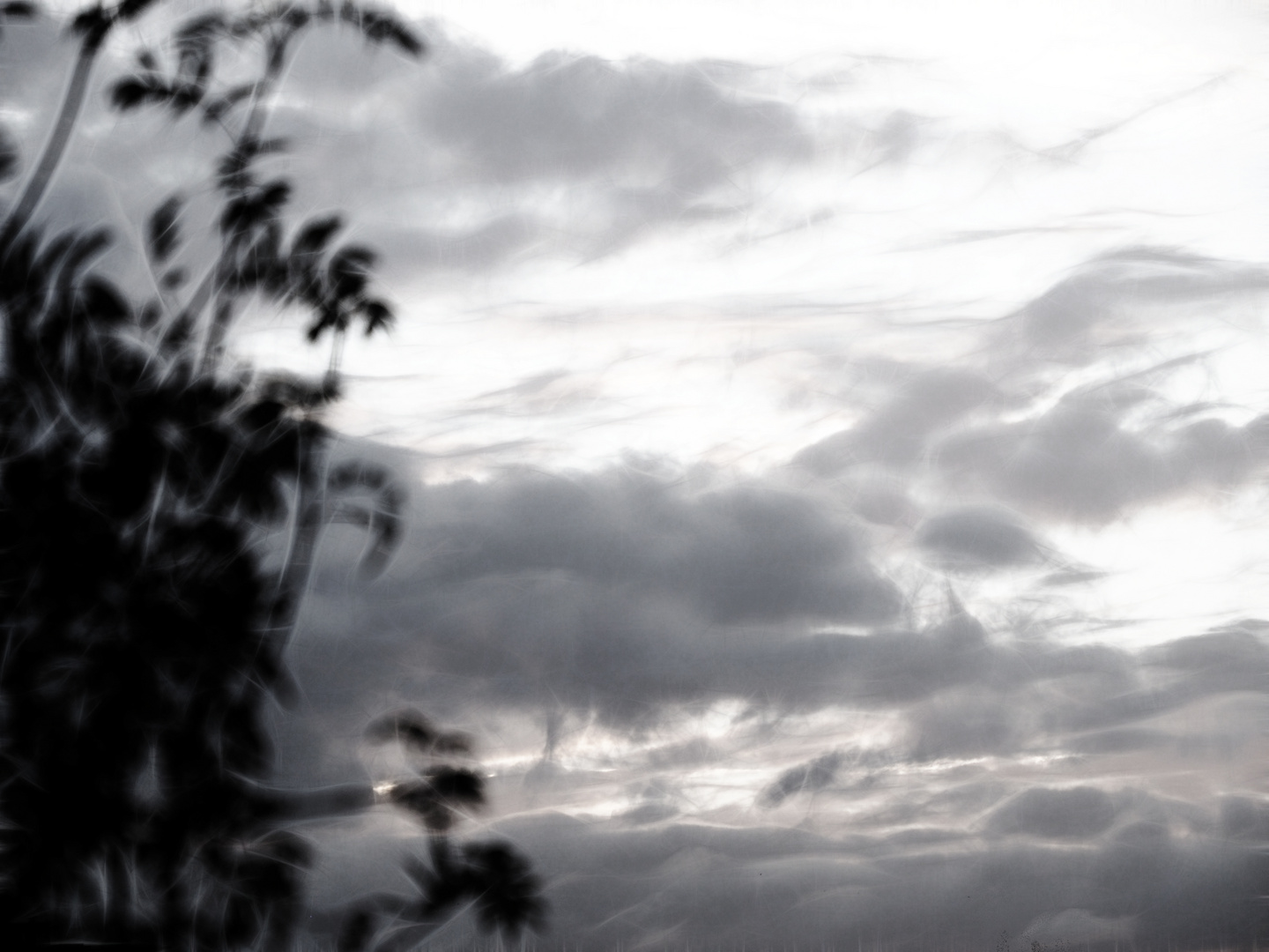 ... vom winde verweht