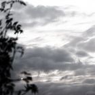 ... vom winde verweht