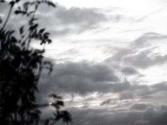 ... vom winde verweht