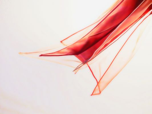 Vom Winde verweht...