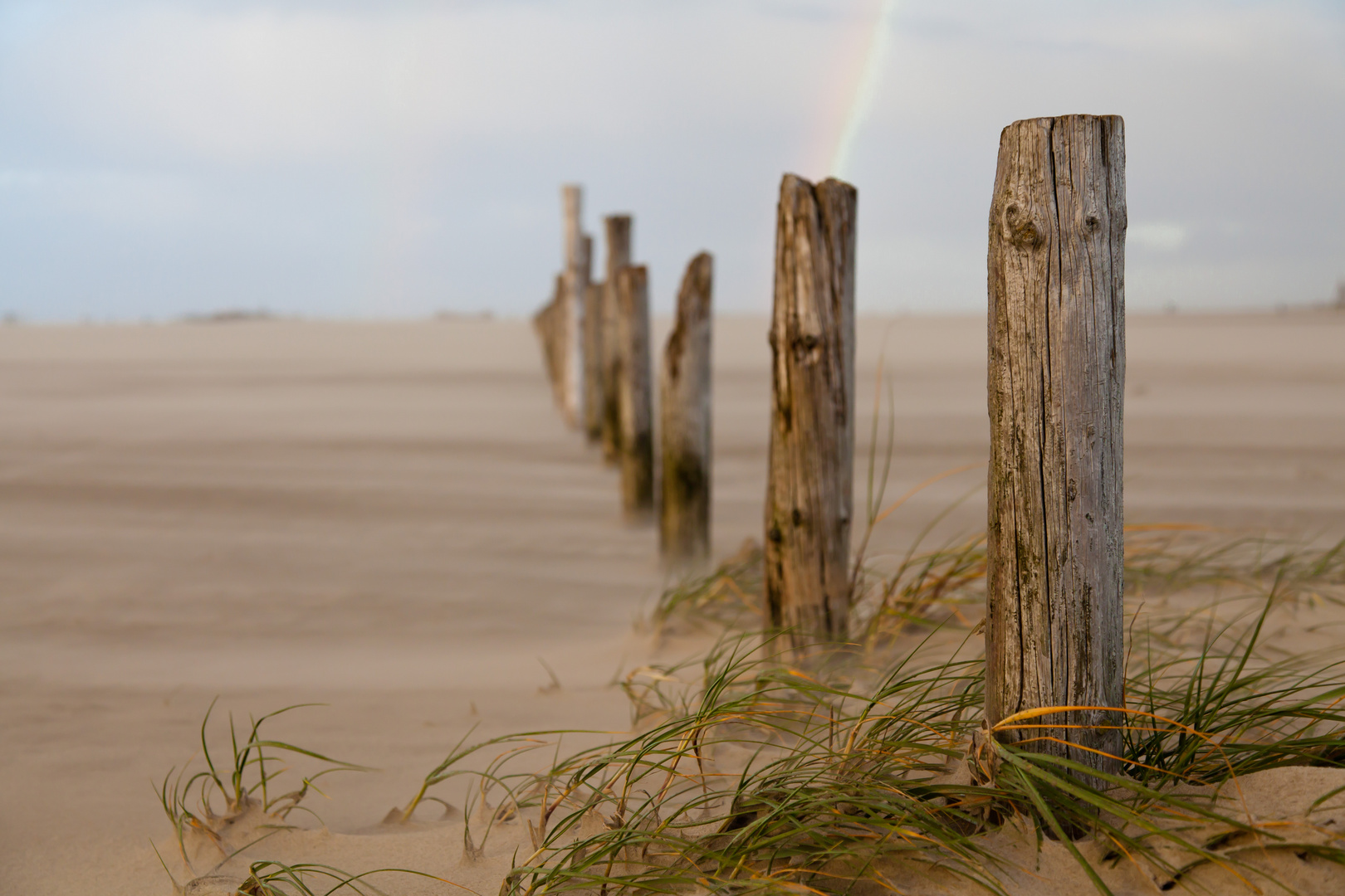 Vom Winde verweht & der Regenbogen