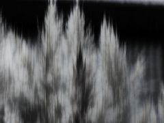 ... vom winde verweht