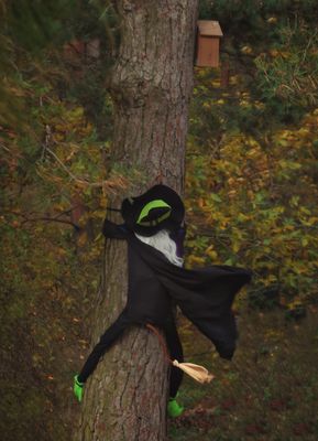 Vom Winde verweht, verwirrt, verirrt