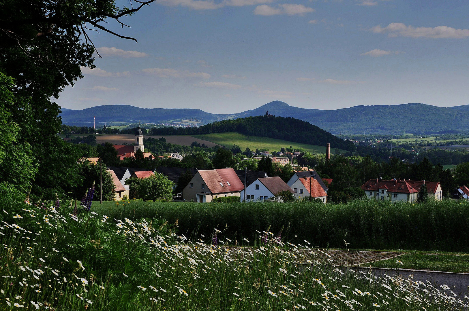 Vom Windmühlberg...