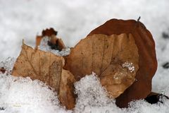 " Vom Winter bis zum Frühling "